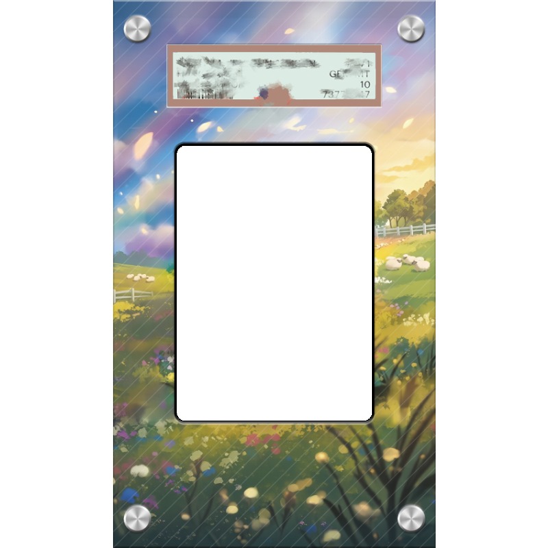 Art Display for Pokemon Amphar - Anime Merchandise From Japan recension och pris